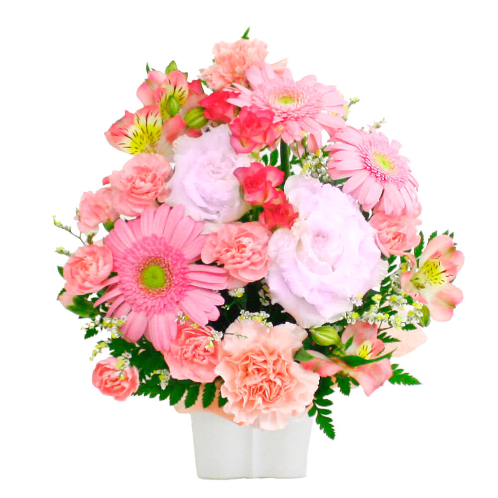 結婚式、誕生日、就任祝い、開店祝いなどのお祝いごとの贈り物はもちろん、お見舞いのお花としてもおすすめです。
