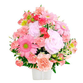 デザイナーが市場より仕入れた鮮度のよい季節のお花から選んでお造りする、お任せアレンジメント・Cutieピンク
