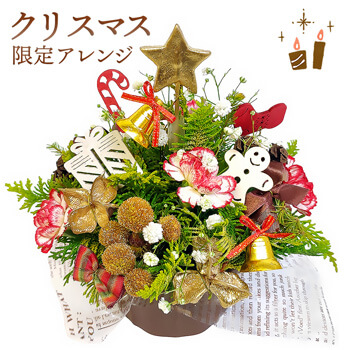 【クリスマス限定】ミニツリーアレンジメント