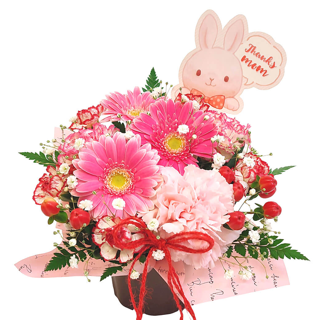 かわいいピック付きで感謝の気持ちが込もった母の日プレゼントに