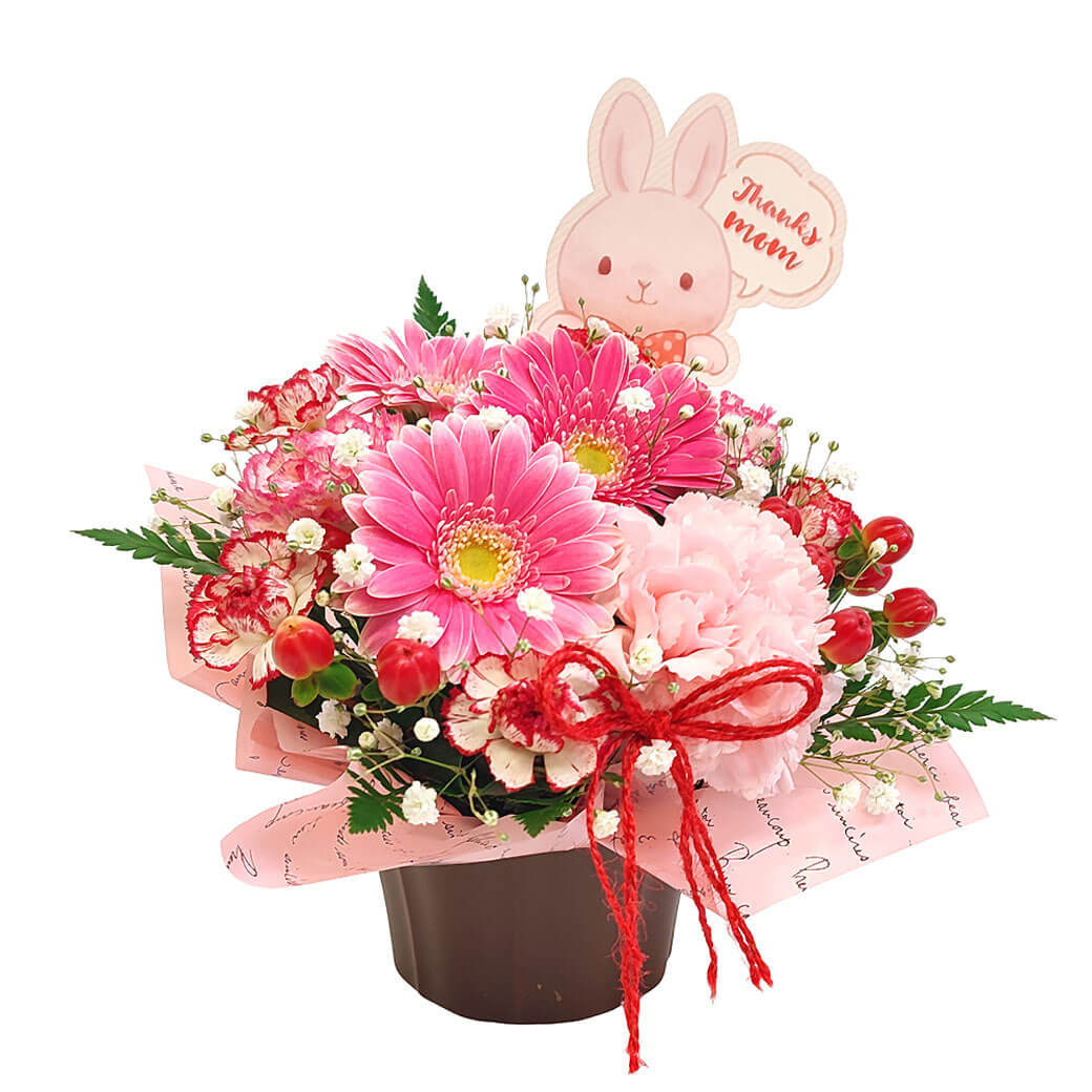 カーネーションをアレンジした華やかなアレンジメントフラワー