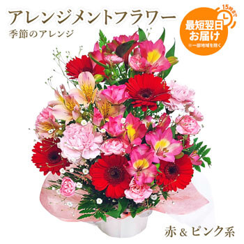 お誕生日や記念日のお祝いにおすすめのアレンジメントフラワー電報「季節のアレンジ・ピンク系」