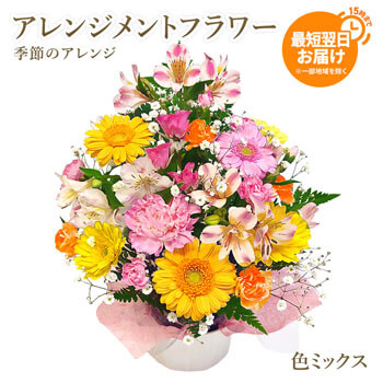 お誕生日や記念日のお祝いにおすすめのアレンジメントフラワー電報「季節のアレンジ・色ミックス」