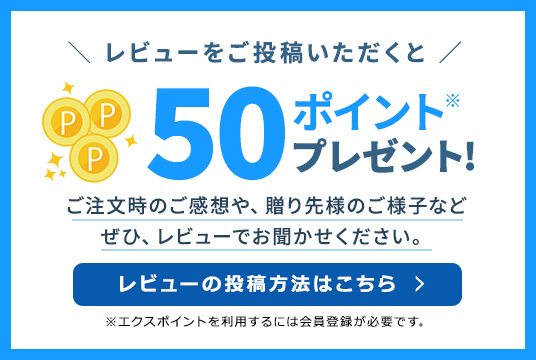 レビューの書き方案内